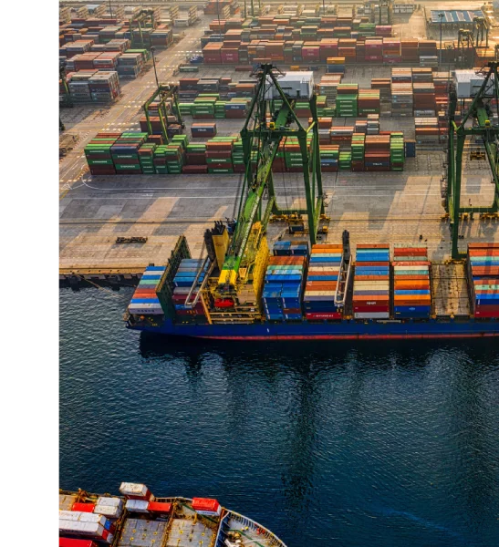 China Branch Opening